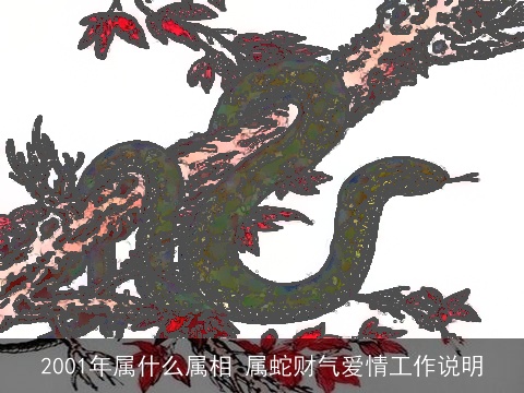2001年属什么属相 属蛇财气爱情工作说明