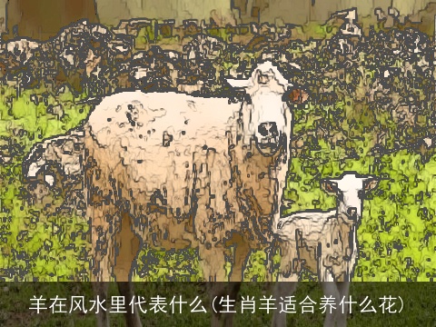 羊在风水里代表什么(生肖羊适合养什么花)