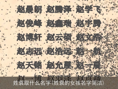 姓袁取什么名字(姓袁的女孩名字简洁)