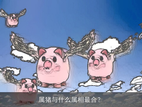 属猪与什么属相最合？