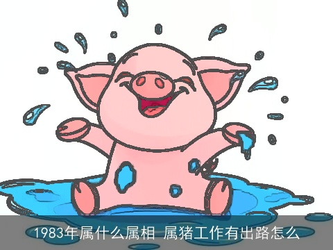 1983年属什么属相 属猪工作有出路怎么