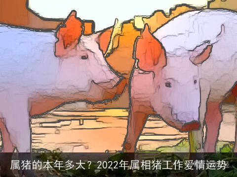 属猪的本年多大？2022年属相猪工作爱情运势