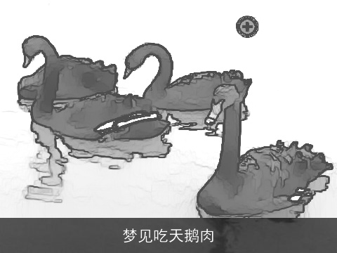 梦见吃天鹅肉