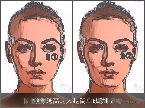 颧骨越高的人越简单成功吗