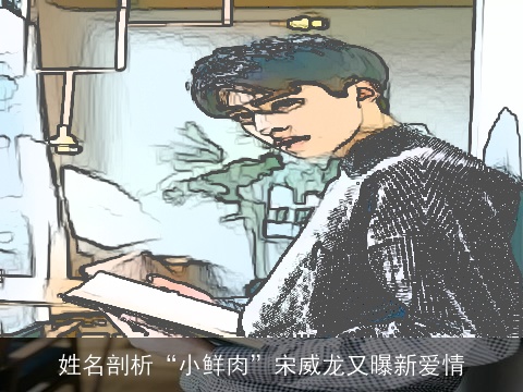姓名剖析“小鲜肉”宋威龙又曝新爱情