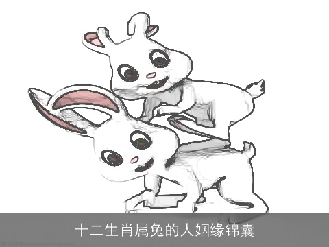 十二生肖属兔的人姻缘锦囊