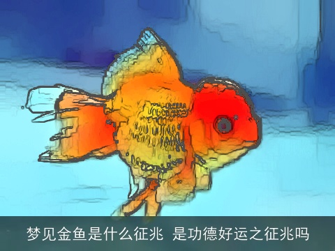 梦见金鱼是什么征兆 是功德好运之征兆吗