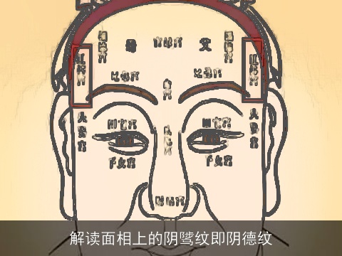 解读面相上的阴骘纹即阴德纹