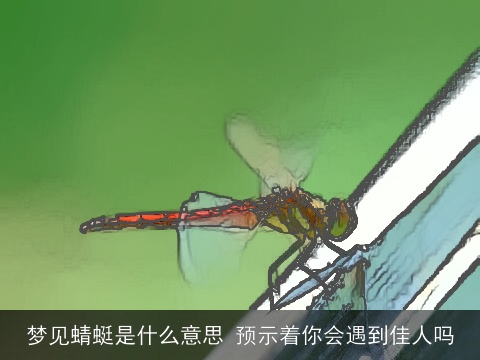 梦见蜻蜓是什么意思 预示着你会遇到佳人吗