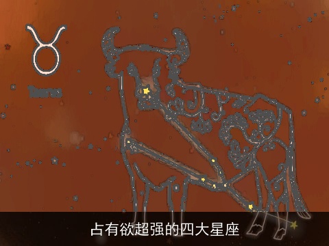 占有欲超强的四大星座