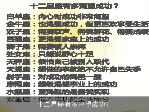 十二星座有多巴望成功？