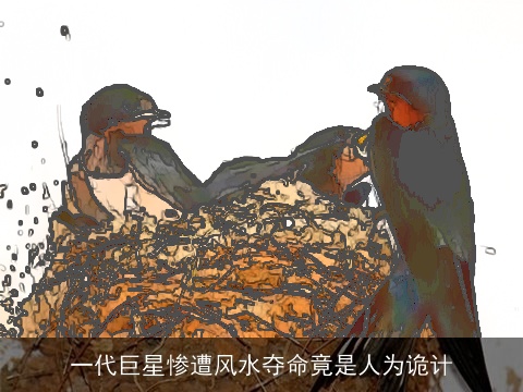 一代巨星惨遭风水夺命竟是人为诡计