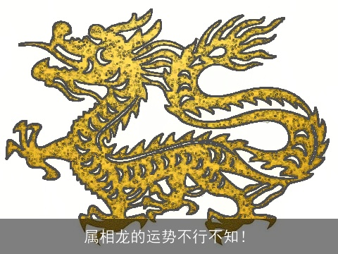 属相龙的运势不行不知！