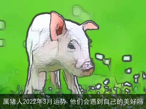 属猪人2022年3月运势 他们会遇到自己的美好吗