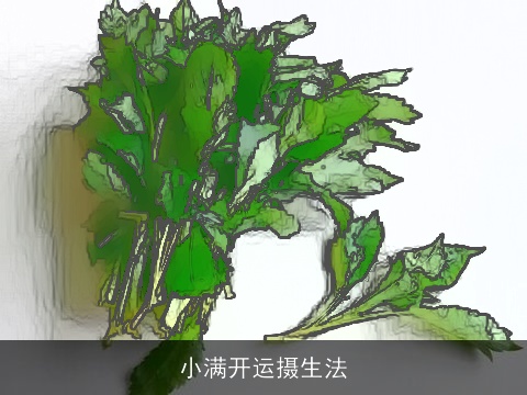 小满开运摄生法