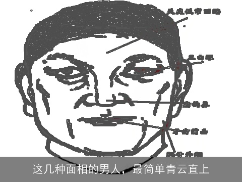 这几种面相的男人，最简单青云直上