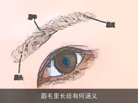 眉毛里长痣有何涵义