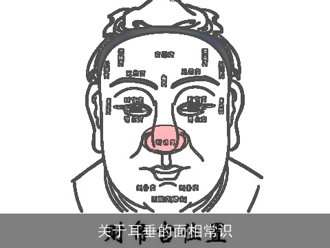 关于耳垂的面相常识