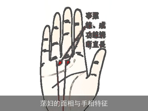荡妇的面相与手相特征