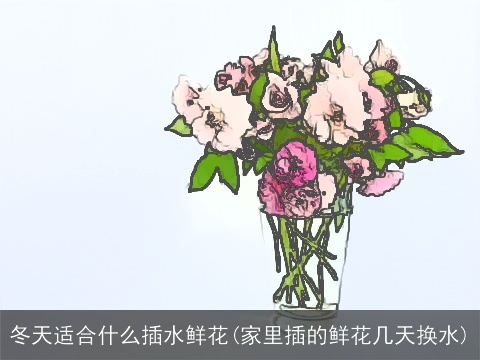 冬天适合什么插水鲜花(家里插的鲜花几天换水)