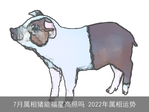 7月属相猪能福星高照吗 2022年属相运势