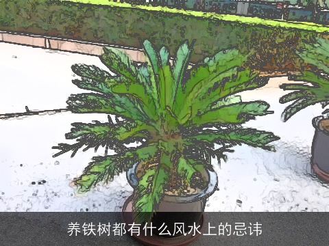 养铁树都有什么风水上的忌讳