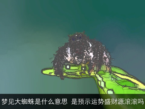 梦见大蜘蛛是什么意思 是预示运势盛财源滚滚吗