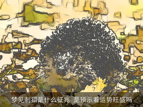 梦见刺猬是什么征兆 是预示着运势旺盛吗