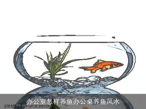 办公室怎样养鱼办公桌养鱼风水