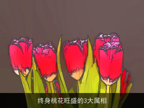 终身桃花旺盛的3大属相