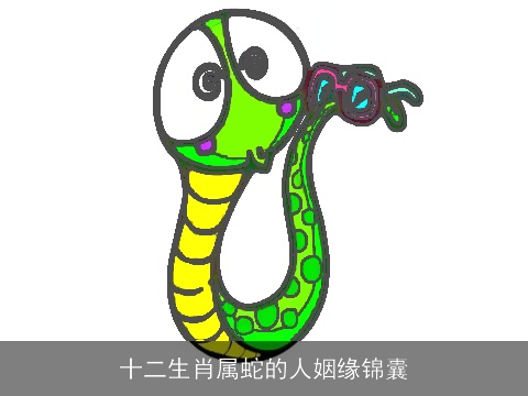 十二生肖属蛇的人姻缘锦囊