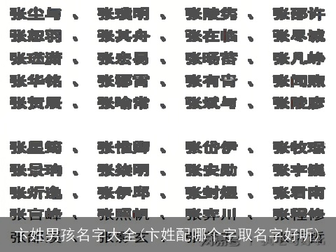 卞姓男孩名字大全(卞姓配哪个字取名字好听)
