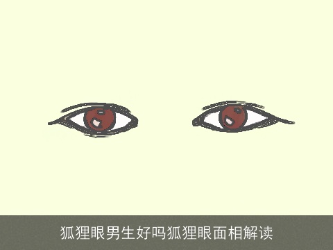 狐狸眼男生好吗狐狸眼面相解读