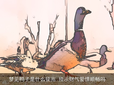 梦见鸭子是什么征兆 预示财气爱情顺畅吗