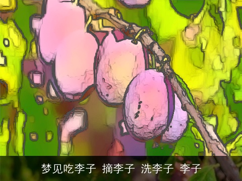 梦见吃李子 摘李子 洗李子 李子