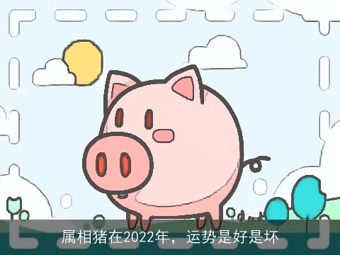 属相猪在2022年，运势是好是坏