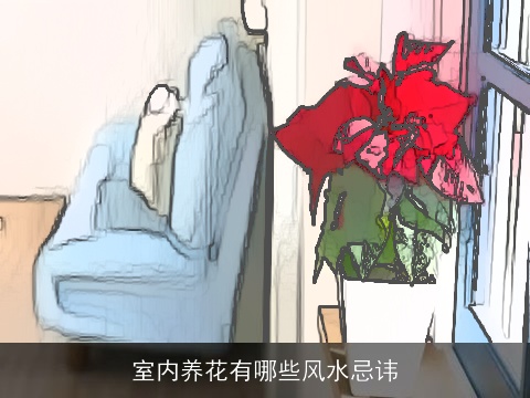 室内养花有哪些风水忌讳