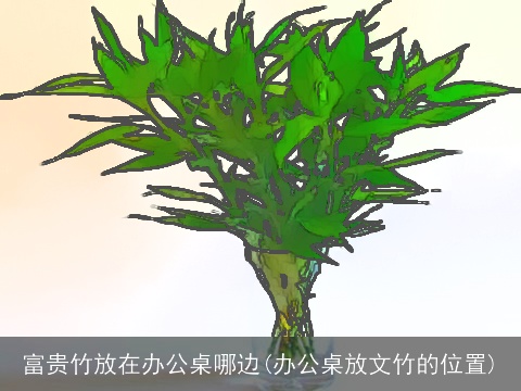 富贵竹放在办公桌哪边(办公桌放文竹的位置)
