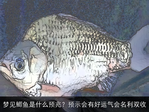 梦见鲫鱼是什么预兆？预示会有好运气会名利双收