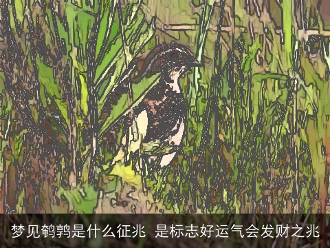 梦见鹌鹑是什么征兆 是标志好运气会发财之兆