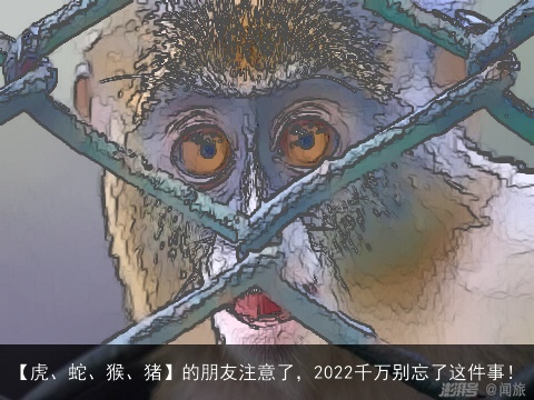【虎、蛇、猴、猪】的朋友注意了，2022千万别忘了这件事！