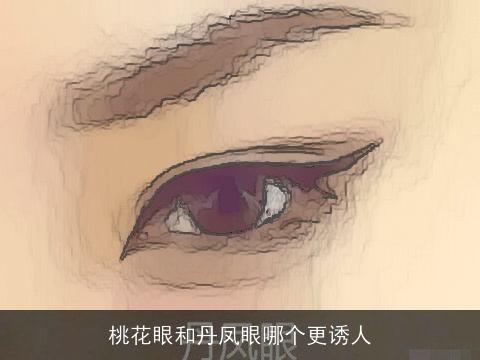 桃花眼和丹凤眼哪个更诱人