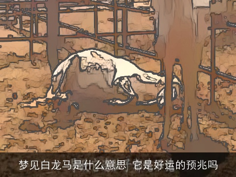 梦见白龙马是什么意思 它是好运的预兆吗