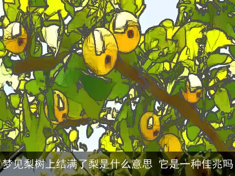 梦见梨树上结满了梨是什么意思 它是一种佳兆吗