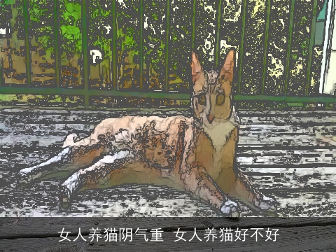 女人养猫阴气重 女人养猫好不好
