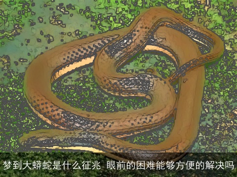 梦到大蟒蛇是什么征兆 眼前的困难能够方便的解决吗