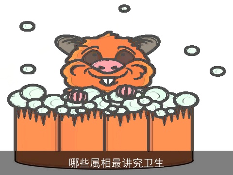 哪些属相最讲究卫生