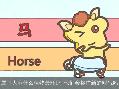 属马人养什么植物最旺财 他们会捉住新的财气吗