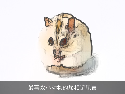 最喜欢小动物的属相铲屎官