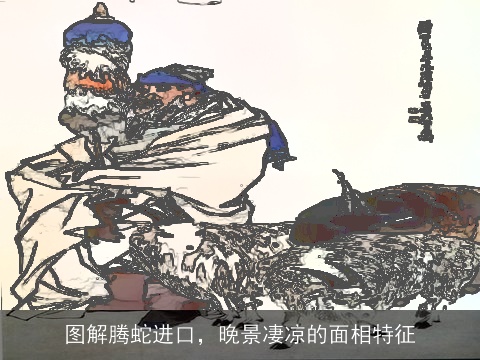 图解腾蛇进口，晚景凄凉的面相特征